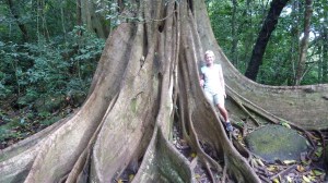 Lille meg viser dimesnjonane, eit slikt "matapalos"-tre.