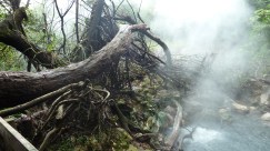 Vulkansk aktivitet, ca 120 grader.