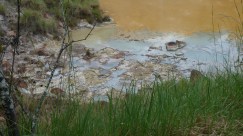 Ein del var lys, resten gul.