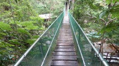 Rio negro. Litt av ein prestasjon for meg å gå over her :)