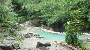 Flott laga til med ulike basseng.