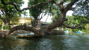 Ikkje fullt så høg standard her.