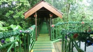 Tur til fossefallet. Julepynta inngang til stien ned.