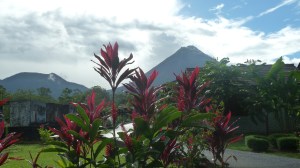 Så klarna det opp :)