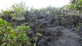 Lava-straumen laga stiar....