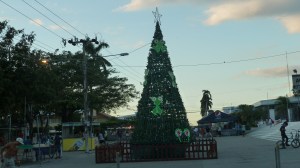 Julegrana i dagslys.....